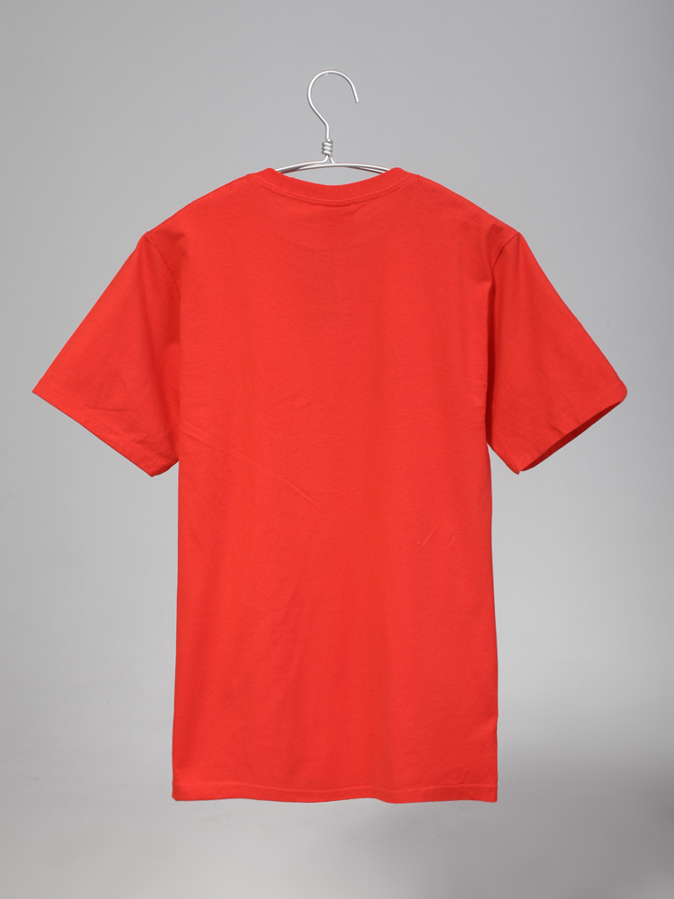 stussy world tour 红色短t